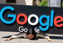 FARMUS: Tym razem algorytm Google mnie wykluczył
